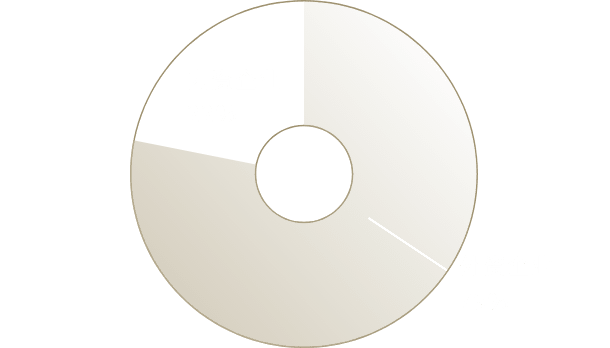 内资企业22% 外资企业78%