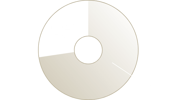 內資企業35% 外資企業65%