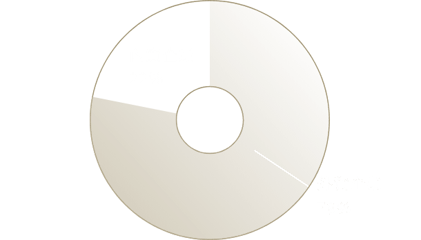 內資企業22% 外資企業78%